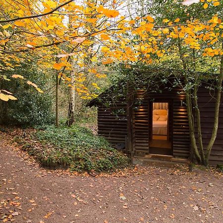 Pinetum Lodge Gloucester Bilik gambar