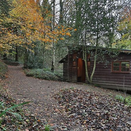 Pinetum Lodge Gloucester Bilik gambar